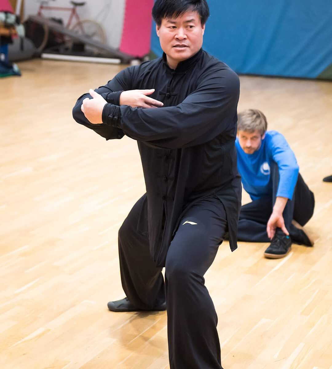 Wang Hai Jun - Taichi Grandmaster